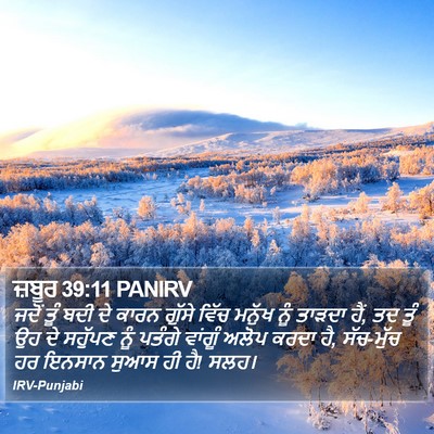ਜ਼ਬੂਰ 39:11 PANIRV Bible Verse Image