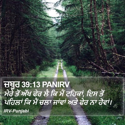 ਜ਼ਬੂਰ 39:13 PANIRV Bible Verse Image