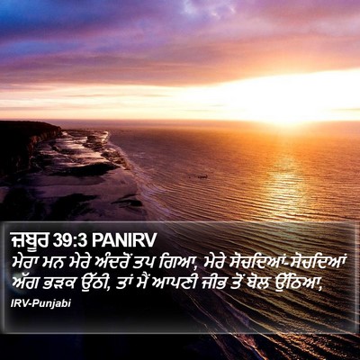ਜ਼ਬੂਰ 39:3 PANIRV Bible Verse Image