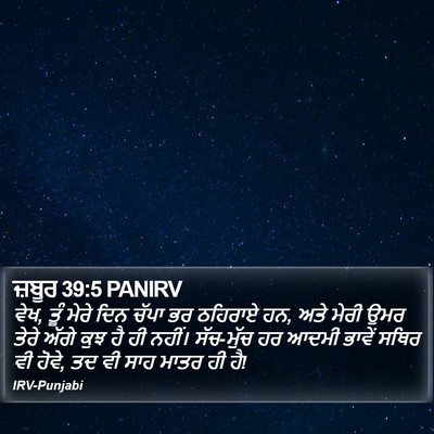 ਜ਼ਬੂਰ 39:5 PANIRV Bible Verse Image