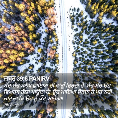 ਜ਼ਬੂਰ 39:6 PANIRV Bible Verse Image