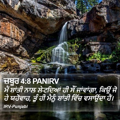 ਜ਼ਬੂਰ 4:8 PANIRV Bible Verse Image
