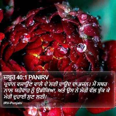 ਜ਼ਬੂਰ 40:1 PANIRV Bible Verse Image