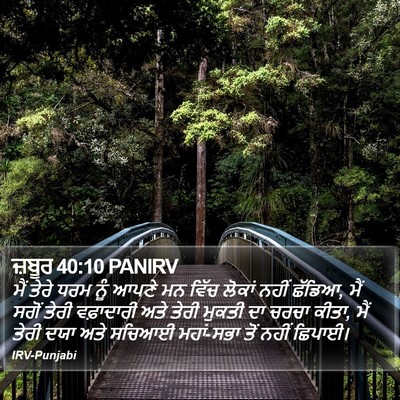 ਜ਼ਬੂਰ 40:10 PANIRV Bible Verse Image