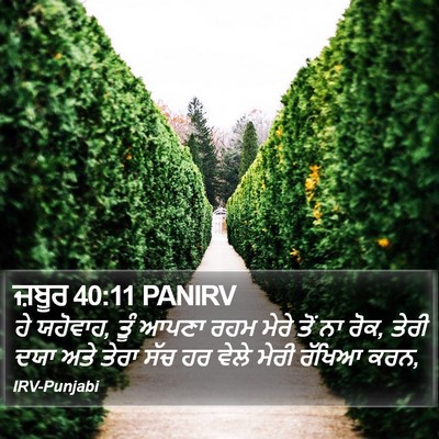 ਜ਼ਬੂਰ 40:11 PANIRV Bible Verse Image