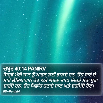 ਜ਼ਬੂਰ 40:14 PANIRV Bible Verse Image