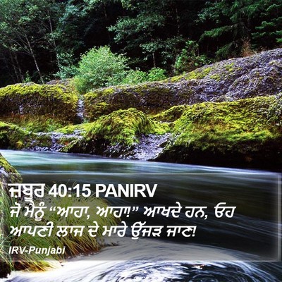 ਜ਼ਬੂਰ 40:15 PANIRV Bible Verse Image
