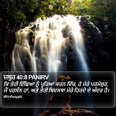 ਜ਼ਬੂਰ 40:8 PANIRV Bible Verse Image