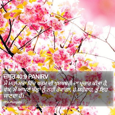 ਜ਼ਬੂਰ 40:9 PANIRV Bible Verse Image