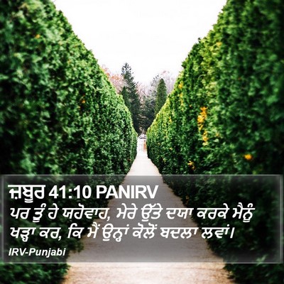 ਜ਼ਬੂਰ 41:10 PANIRV Bible Verse Image