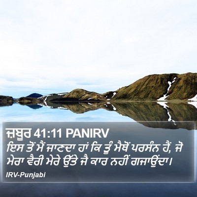 ਜ਼ਬੂਰ 41:11 PANIRV Bible Verse Image