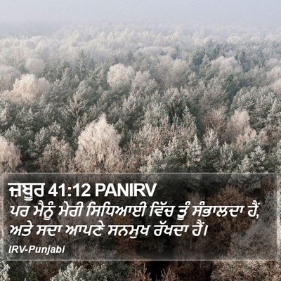 ਜ਼ਬੂਰ 41:12 PANIRV Bible Verse Image