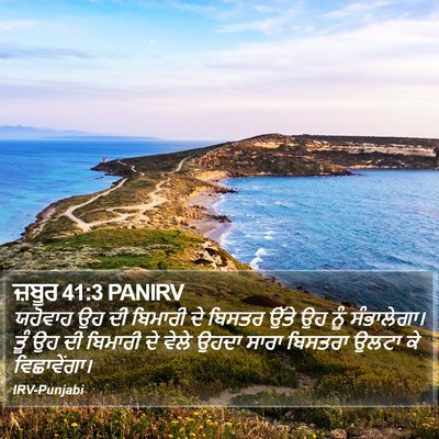 ਜ਼ਬੂਰ 41:3 PANIRV Bible Verse Image