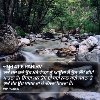 ਜ਼ਬੂਰ 41:6 PANIRV Bible Verse Image