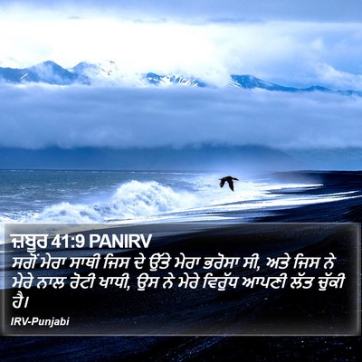 ਜ਼ਬੂਰ 41:9 PANIRV Bible Verse Image