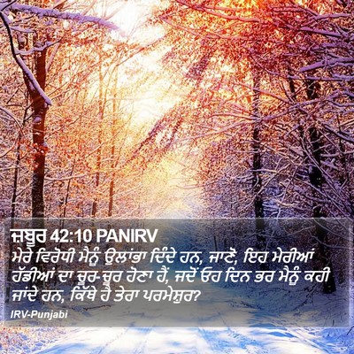 ਜ਼ਬੂਰ 42:10 PANIRV Bible Verse Image