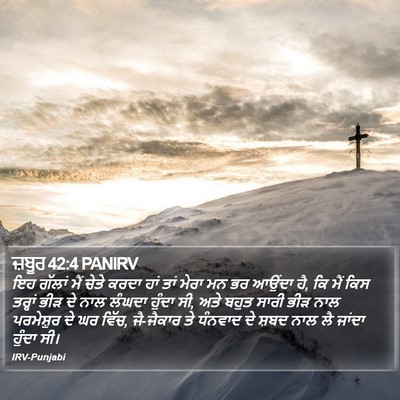 ਜ਼ਬੂਰ 42:4 PANIRV Bible Verse Image