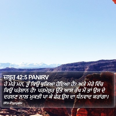 ਜ਼ਬੂਰ 42:5 PANIRV Bible Verse Image