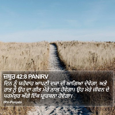 ਜ਼ਬੂਰ 42:8 PANIRV Bible Verse Image