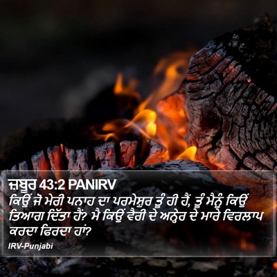 ਜ਼ਬੂਰ 43:2 PANIRV Bible Verse Image