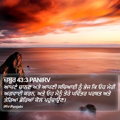 ਜ਼ਬੂਰ 43:3 PANIRV Bible Verse Image