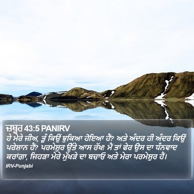 ਜ਼ਬੂਰ 43:5 PANIRV Bible Verse Image