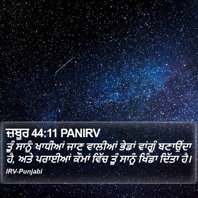 ਜ਼ਬੂਰ 44:11 PANIRV Bible Verse Image