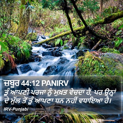 ਜ਼ਬੂਰ 44:12 PANIRV Bible Verse Image