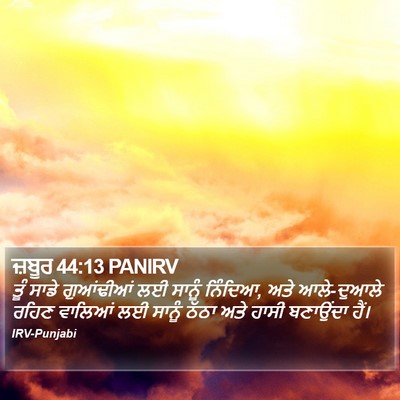 ਜ਼ਬੂਰ 44:13 PANIRV Bible Verse Image