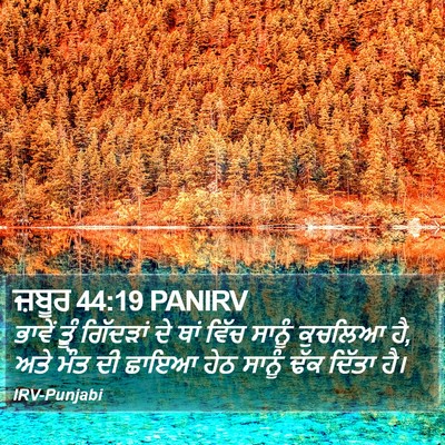 ਜ਼ਬੂਰ 44:19 PANIRV Bible Verse Image