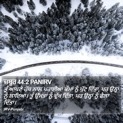 ਜ਼ਬੂਰ 44:2 PANIRV Bible Verse Image