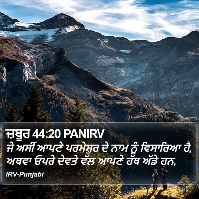 ਜ਼ਬੂਰ 44:20 PANIRV Bible Verse Image