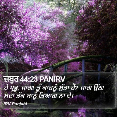 ਜ਼ਬੂਰ 44:23 PANIRV Bible Verse Image