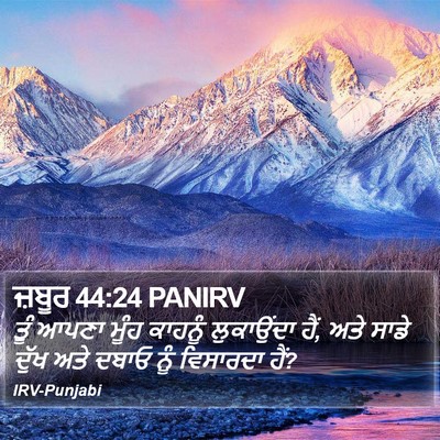 ਜ਼ਬੂਰ 44:24 PANIRV Bible Verse Image