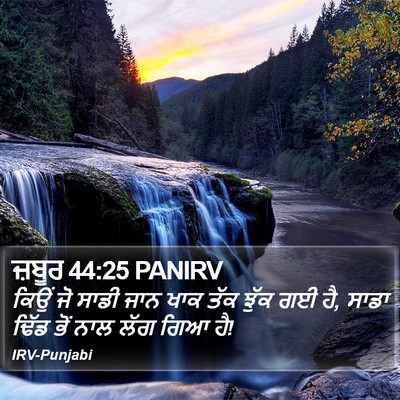 ਜ਼ਬੂਰ 44:25 PANIRV Bible Verse Image