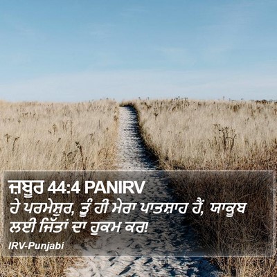 ਜ਼ਬੂਰ 44:4 PANIRV Bible Verse Image