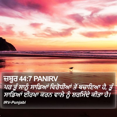 ਜ਼ਬੂਰ 44:7 PANIRV Bible Verse Image