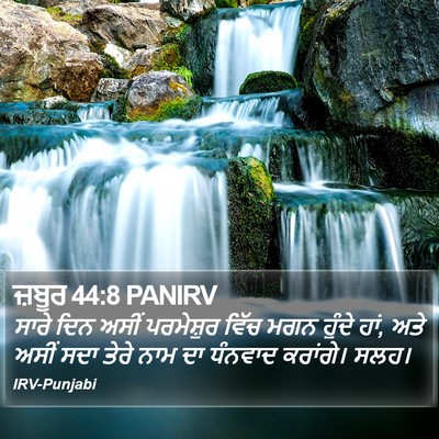 ਜ਼ਬੂਰ 44:8 PANIRV Bible Verse Image