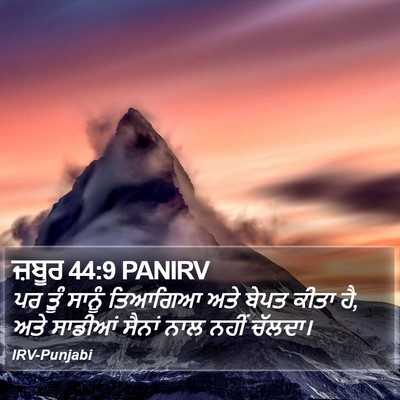 ਜ਼ਬੂਰ 44:9 PANIRV Bible Verse Image