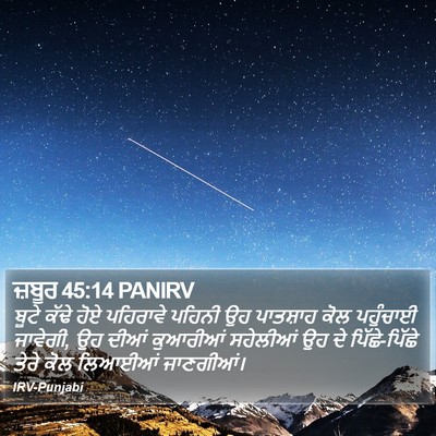 ਜ਼ਬੂਰ 45:14 PANIRV Bible Verse Image