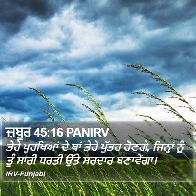 ਜ਼ਬੂਰ 45:16 PANIRV Bible Verse Image
