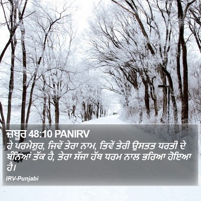 ਜ਼ਬੂਰ 48:10 PANIRV Bible Verse Image