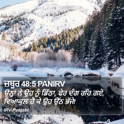 ਜ਼ਬੂਰ 48:5 PANIRV Bible Verse Image