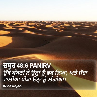 ਜ਼ਬੂਰ 48:6 PANIRV Bible Verse Image