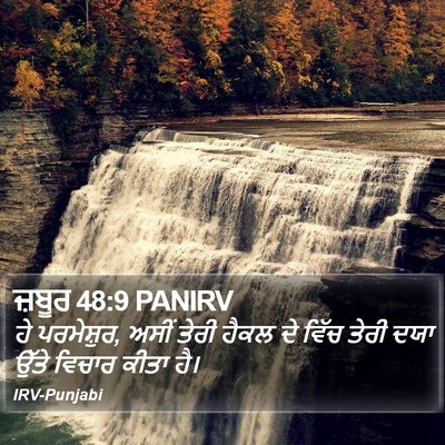 ਜ਼ਬੂਰ 48:9 PANIRV Bible Verse Image