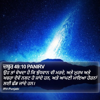 ਜ਼ਬੂਰ 49:10 PANIRV Bible Verse Image