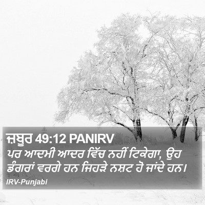 ਜ਼ਬੂਰ 49:12 PANIRV Bible Verse Image