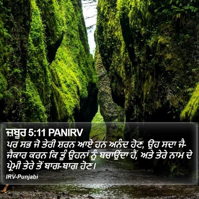 ਜ਼ਬੂਰ 5:11 PANIRV Bible Verse Image