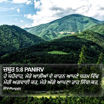 ਜ਼ਬੂਰ 5:8 PANIRV Bible Verse Image