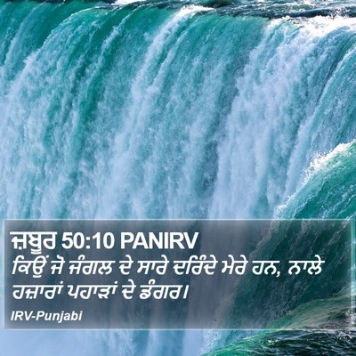 ਜ਼ਬੂਰ 50:10 PANIRV Bible Verse Image